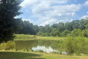 70 Hartley Ln, Elsberry, MO 63343 - Photo 23