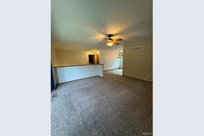 1311 Holly Lane, Saint Clair, MO 63077 - Photo 9