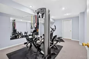 16301 Autumn Crest Ct, Ellisville, MO 63011 - Photo 55