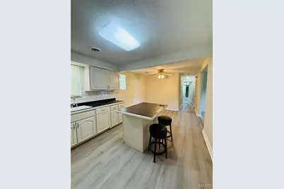 544 Thurston Avenue, Ferguson, MO 63134 - Photo 9