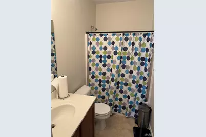721 Dickson Street, Saint Louis, MO 63106 - Photo 5