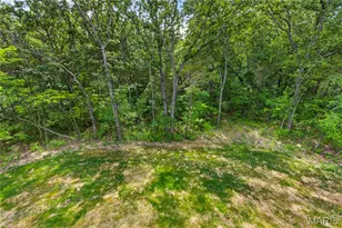 1665 Scenic Dr, Festus, MO 63028 - Photo 31