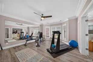568 Upper Conway Cir, Chesterfield, MO 63017 - Photo 23