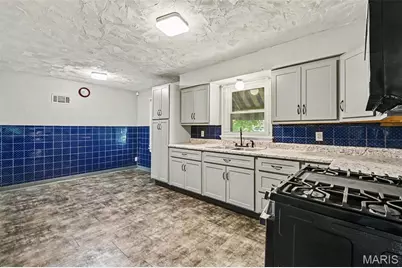 3801 Avondale Avenue, Saint Louis, MO 63121 - Photo 5