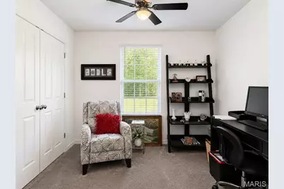 10162 Lake Ridge Drive, Hillsboro, MO 63050 - Photo 35