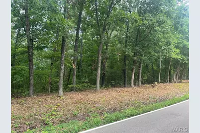 0 Hwy F Road, Potosi, MO 63664 - Photo 9