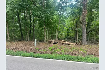 0 Hwy F Road, Potosi, MO 63664 - Photo 7