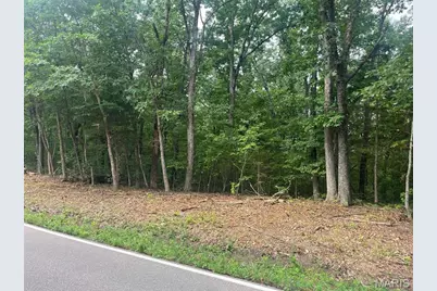 0 Hwy F Road, Potosi, MO 63664 - Photo 11