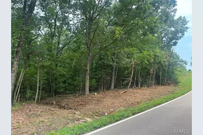0 Hwy F Road, Potosi, MO 63664 - Photo 3