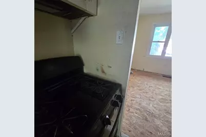 10125 Crown Point Drive, Saint Louis, MO 63136 - Photo 23