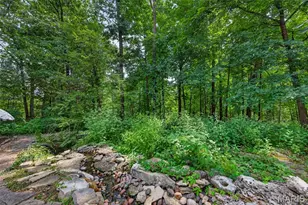 8 Rockwood Forest View, Wildwood, MO 63025 - Photo 69
