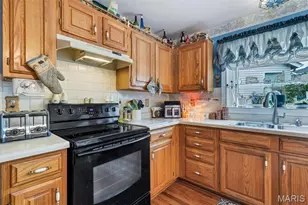 4590 Southridge Meadows Dr, Saint Louis, MO 63128 - Photo 15