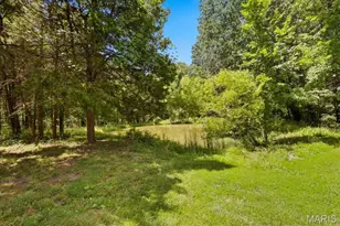 2631 S Mangan Rd, Pacific, MO 63069 - Photo 15