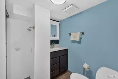 5622 Pernod Avenue, Saint Louis, MO 63139 - Photo 31