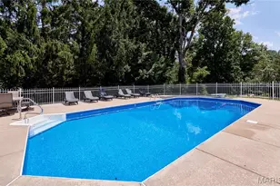 16 Delacroix Pl, Saint Charles, MO 63303 - Photo 87