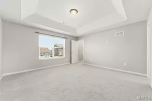 219 Burrograss Dr, Wentzville, MO 63385 - Photo 27