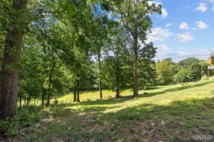 24 Hickory Ct, Arnold, MO 63010 - Photo 39