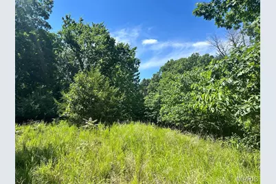 0 Monticello Ct, House Springs, MO 63051 - Photo 17