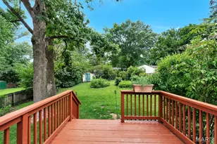 807 Blossom Ln, Saint Louis, MO 63119 - Photo 17