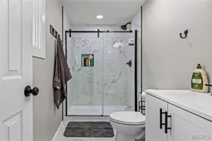8264 Mapavi Dr, Bonne Terre, MO 63628 - Photo 61