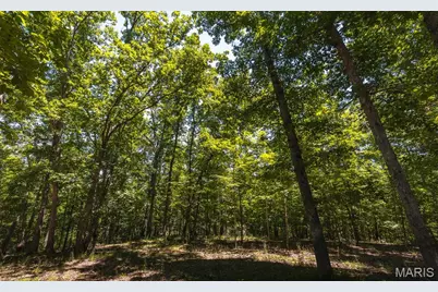 7287 Highway 47, Union, MO 63084 - Photo 51