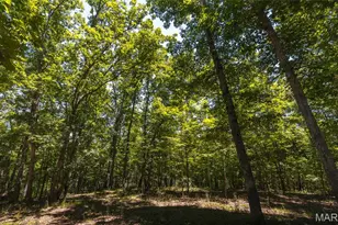 7287 Hwy 47, Union, MO 63084 - Photo 51