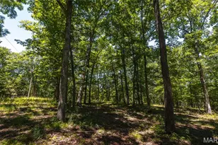 7287 Hwy 47, Union, MO 63084 - Photo 35