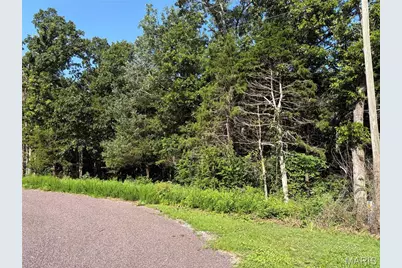 580 Cedar Lane, Sullivan, MO 63080 - Photo 3