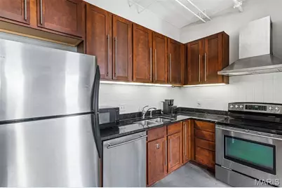 1720 Chouteau Avenue #311, Saint Louis, MO 63103 - Photo 15