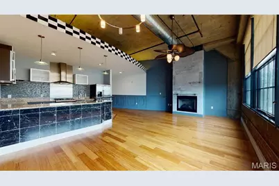 4100 Forest Park Avenue #203, Saint Louis, MO 63108 - Photo 3