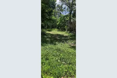 99 Arlie Barr Road, Viburnum, MO 65566 - Photo 5