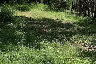 99 Arlie Barr Rd, Viburnum, MO 65566 - Photo 5