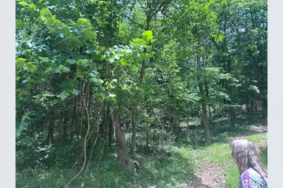 99 Arlie Barr Road, Viburnum, MO 65566 - Photo 11