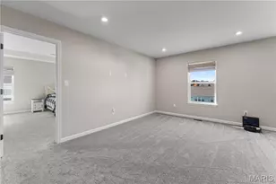 207 Talbot Wy, Wentzville, MO 63385 - Photo 15