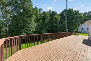 2711 Spotted Horse Trail, Saint Clair, MO 63077 - Photo 35