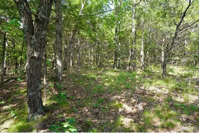 1971 Epple Road, Hermann, MO 65041 - Photo 77