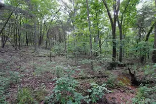 1971 Epple Rd, Hermann, MO 65041 - Photo 95