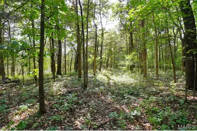 1971 Epple Road, Hermann, MO 65041 - Photo 81