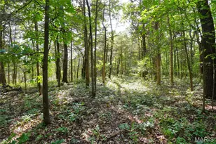 1971 Epple Rd, Hermann, MO 65041 - Photo 81