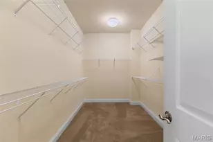 12518 New Woodland Ct, Unincorporated, MO 63146 - Photo 19