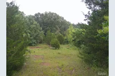 41.58 Acres Hwy 47, Cadet, MO 63630 - Photo 11