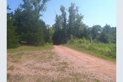 41.58 Acres Hwy 47, Cadet, MO 63630 - Photo 15