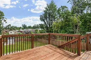 6921 Dale Ave, Saint Louis, MO 63139 - Photo 35