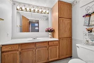 9249 Reavis Barracks Rd, Affton, MO 63123 - Photo 23
