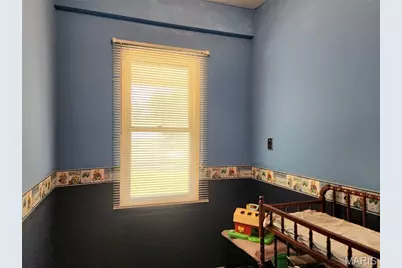 301 S Division Street, Bonne Terre, MO 63628 - Photo 13