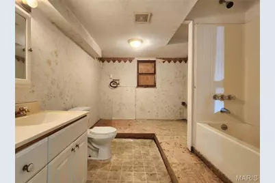 301 S Division Street, Bonne Terre, MO 63628 - Photo 29