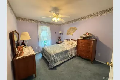 10342 Tiffany Village Circle Drive, Saint Louis, MO 63123 - Photo 21