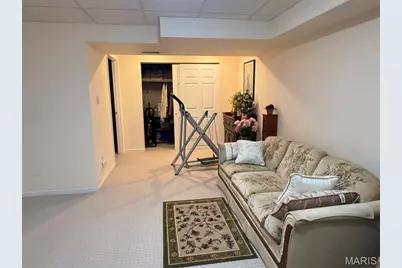 10342 Tiffany Village Circle Drive, Saint Louis, MO 63123 - Photo 27