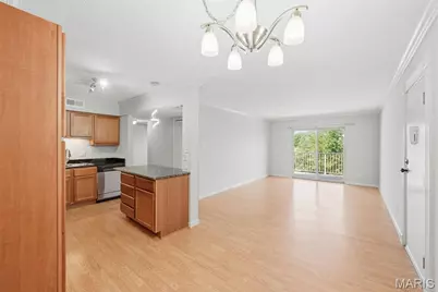 1411 Willow Brook Cove #10, Saint Louis, MO 63146 - Photo 5