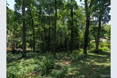 41 Oak Forest Drive, Saint Charles, MO 63303 - Photo 3